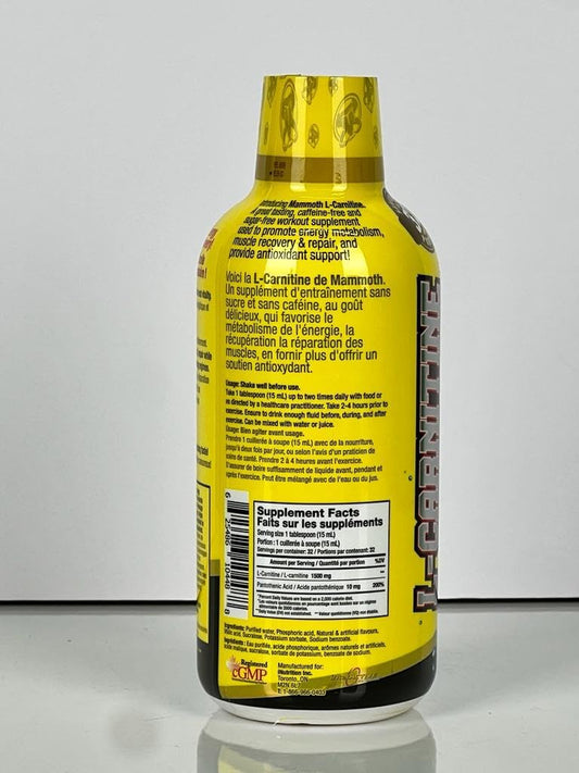 L-CARNITINE 32 Servings