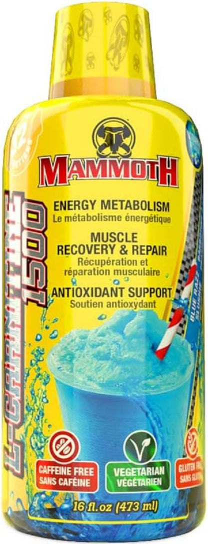 L-CARNITINE 32 Servings