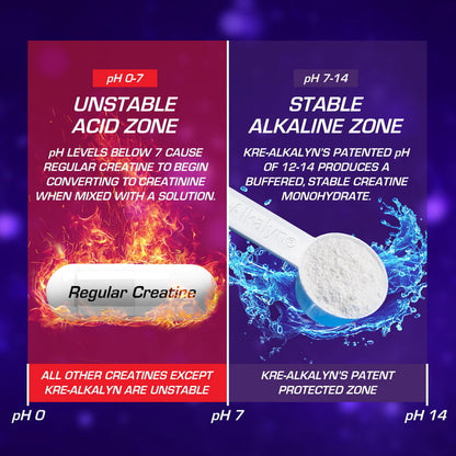 Kre Alkalyn EFX – Powder